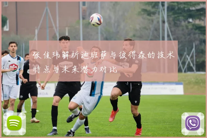 张佳玮解析迪班萨与彼得森的技术特点与未来潜力对比