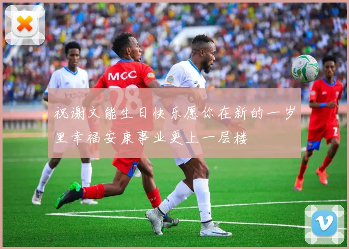 祝谢文能生日快乐愿你在新的一岁里幸福安康事业更上一层楼
