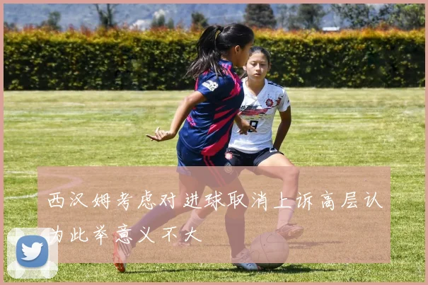 西汉姆考虑对进球取消上诉高层认为此举意义不大